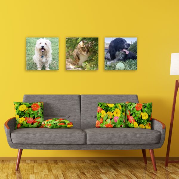 12x12 Printed Photo Canvases    $31.50 with code HEARTS at checkout Thumbnail