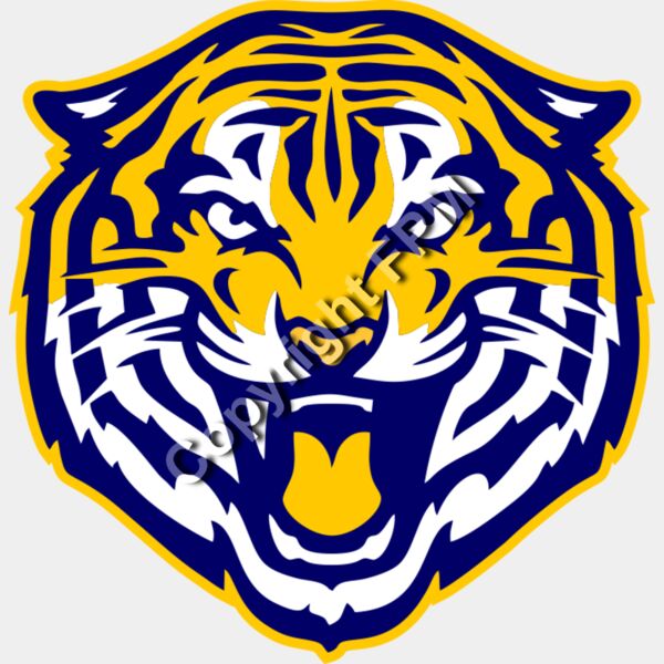 1013 Tiger Thumbnail