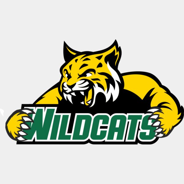 962 Wildcats Thumbnail