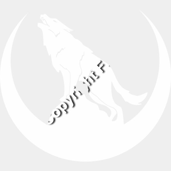 986 Coyote Thumbnail