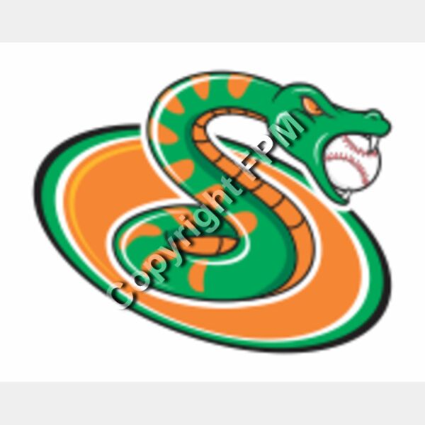 675 Snake Soccer Thumbnail