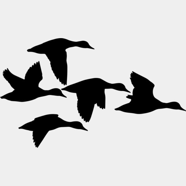 1063 Ducks Thumbnail