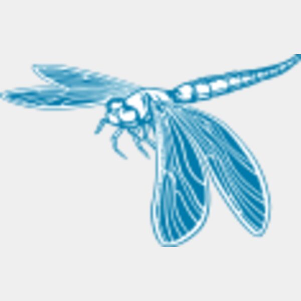 509 Dragonfly Thumbnail