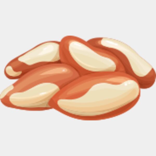 155 Brazil Nut Thumbnail