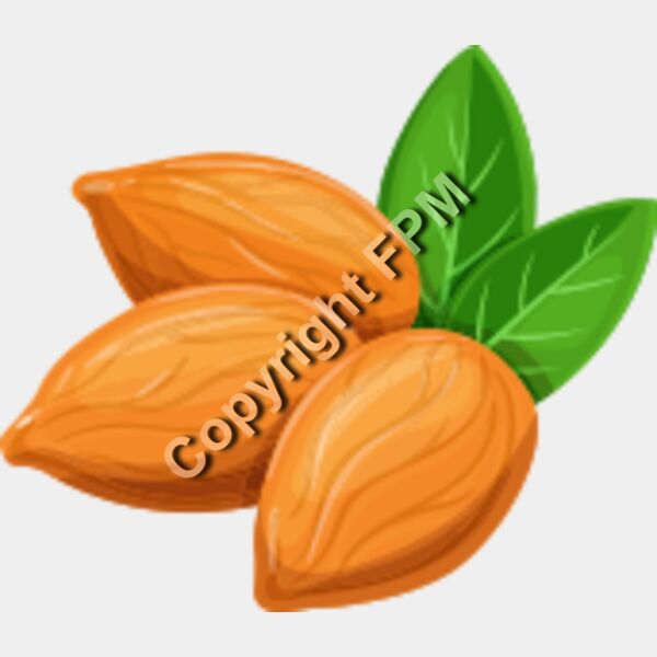 157 Almond Thumbnail