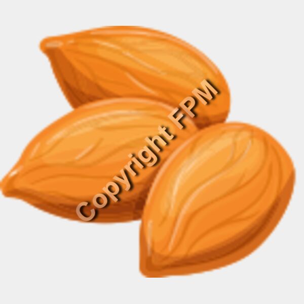 158 Almond Thumbnail