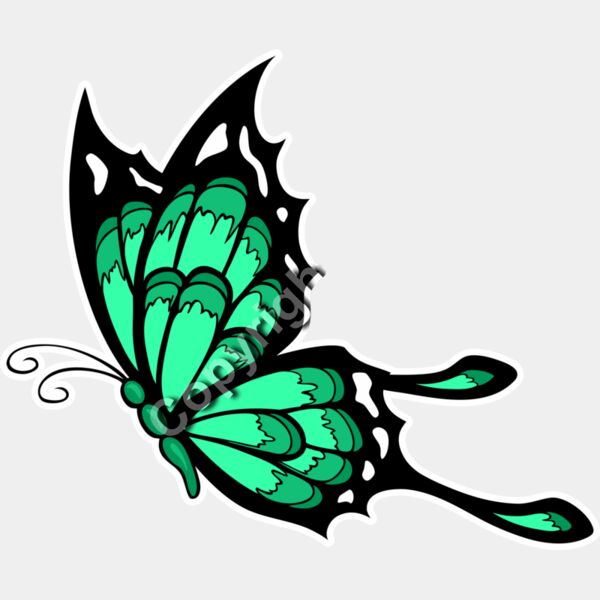 530 Butterfly Thumbnail