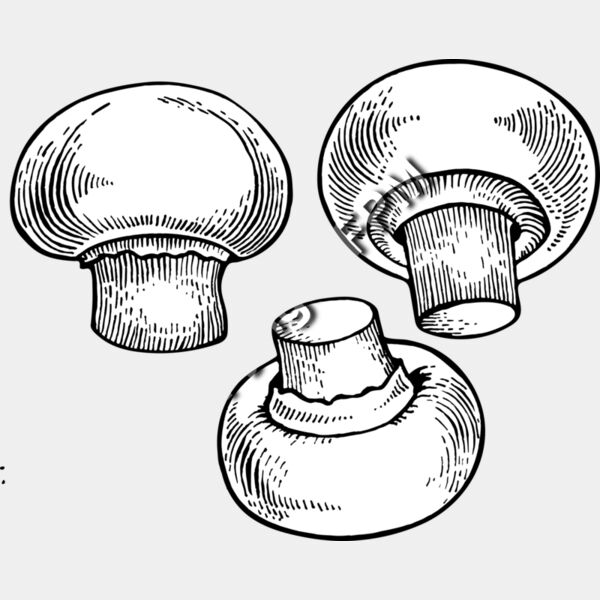 1078 Mushrooms Thumbnail