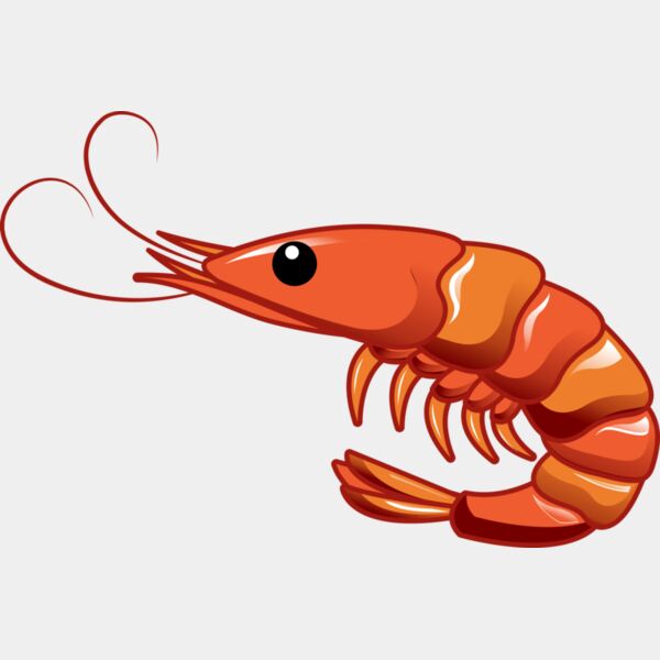 A1261 Shrimp Thumbnail