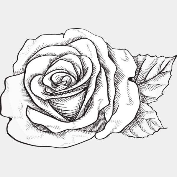 A1274 Rose Thumbnail