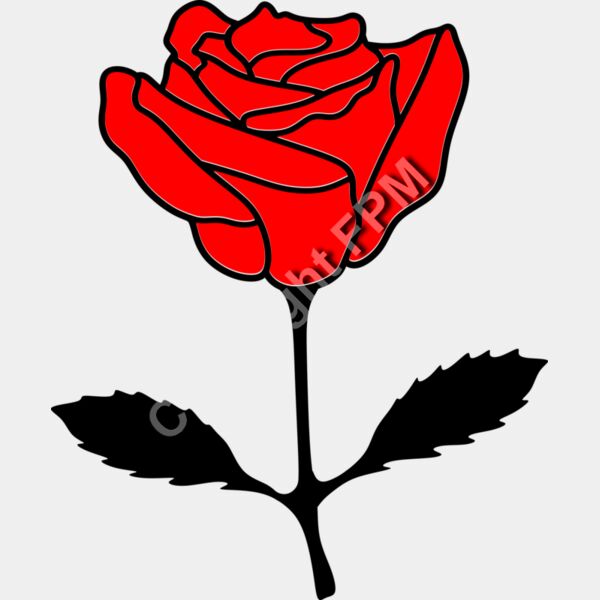 A1332 Rose Thumbnail