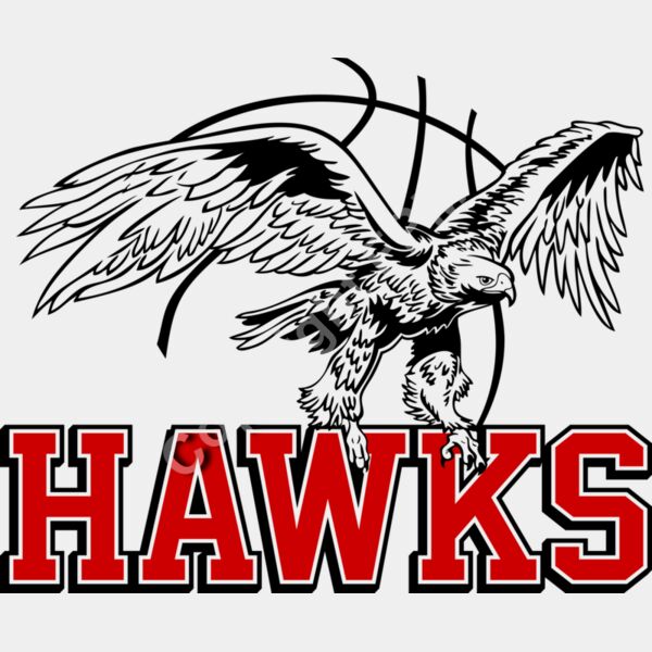 1214 Hawks Basketball Thumbnail