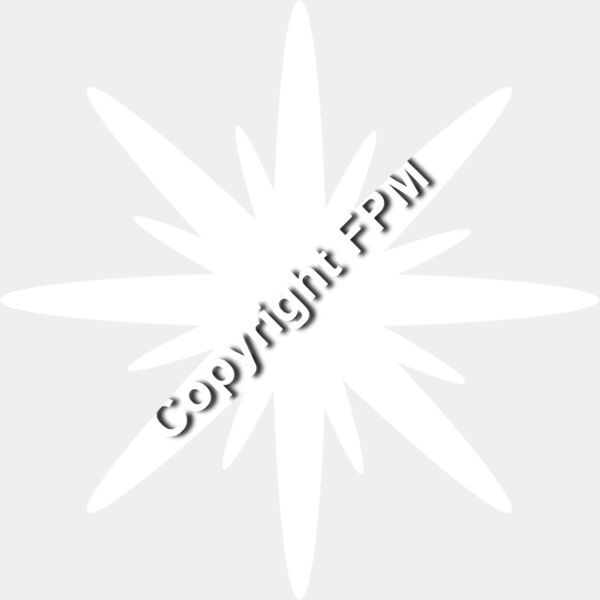 B1026 Star Thumbnail