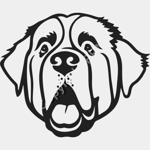 B6134 St Bernard Thumbnail