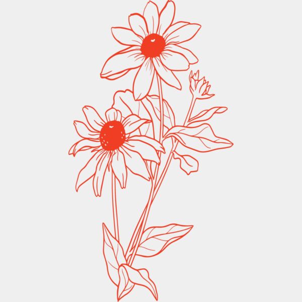 07 Daisies Thumbnail