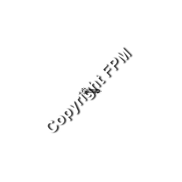 2654 Pawsitive Thumbnail