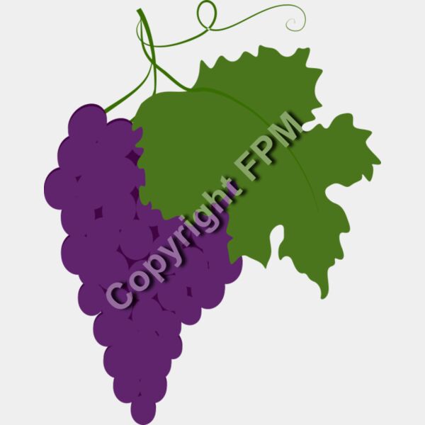 B4370 Grapes Thumbnail