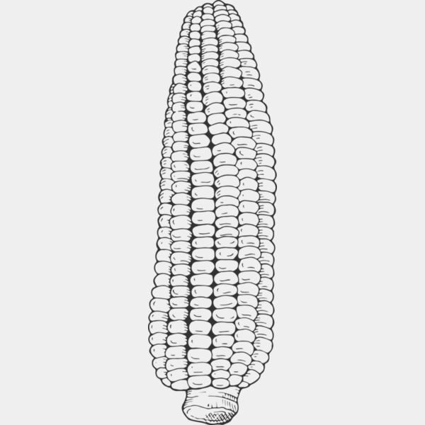 07989 Corn Thumbnail